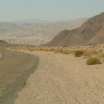 How to Use Auction Vehicle Detail Services: Betbhai com, Playexch login, Gold 365